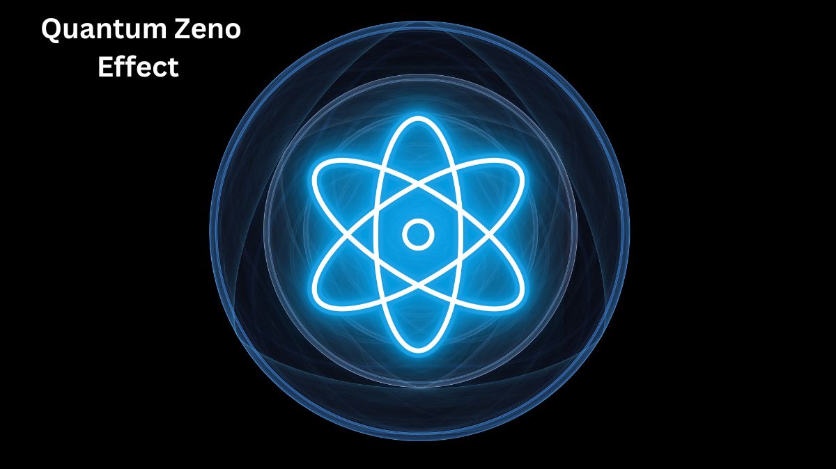 Modular Quantum Computers For Superconducting Processors