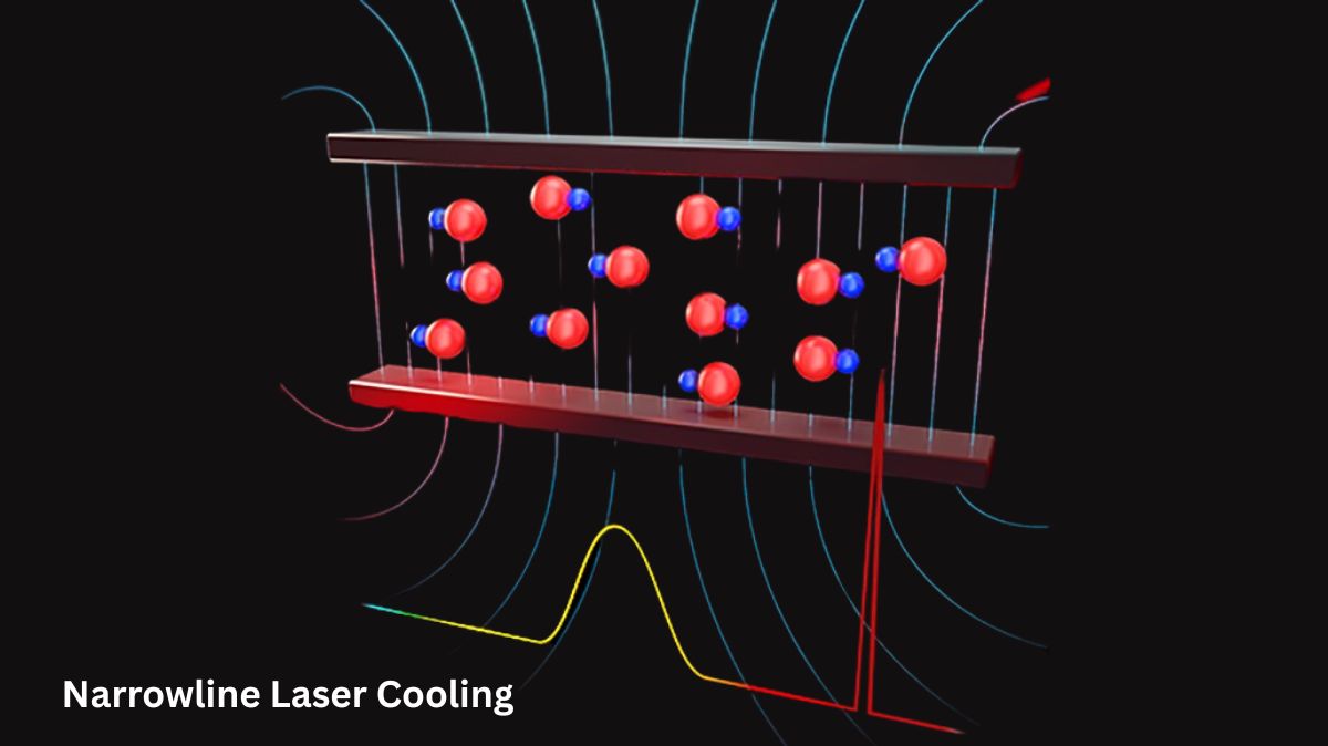 Narrowline Laser Cooling New Paths For Quantum Simulation