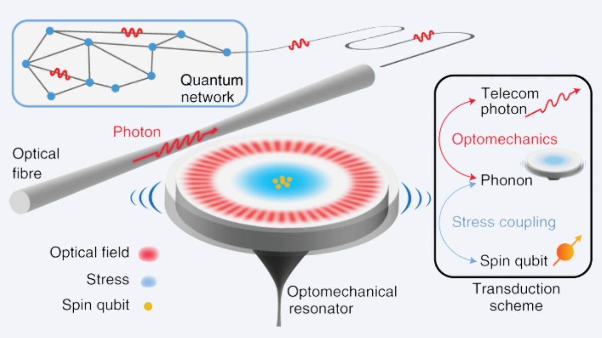 2D Optomechanical Crystals Photon-Phonon Generation
