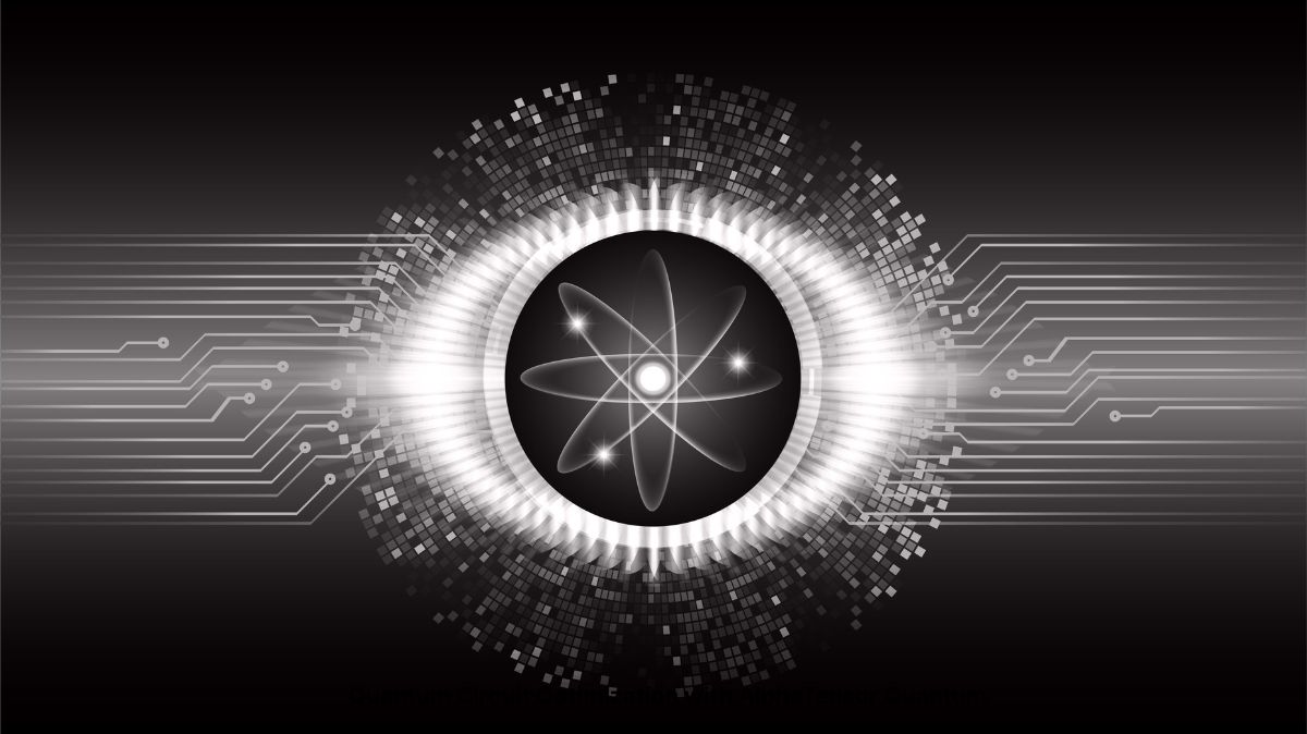 Quantum Circuit Optimization with AlphaTensor Quantum